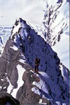 upper snowridge climb at Dhaulagiri-2 (2)