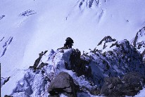 ダウラギリサウスピラーC2上部の岩稜
