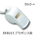EKB213