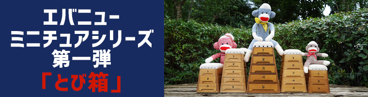 当店はエバニューの正規販売店です エバニュー EVERNEW 体操 4934048621483 ツインファン は 水泳 EKA889 球技 グラウンド  学校体育の現場で必要なスポーツ用品を取り扱っています 学校体育器具 トレーニングなど