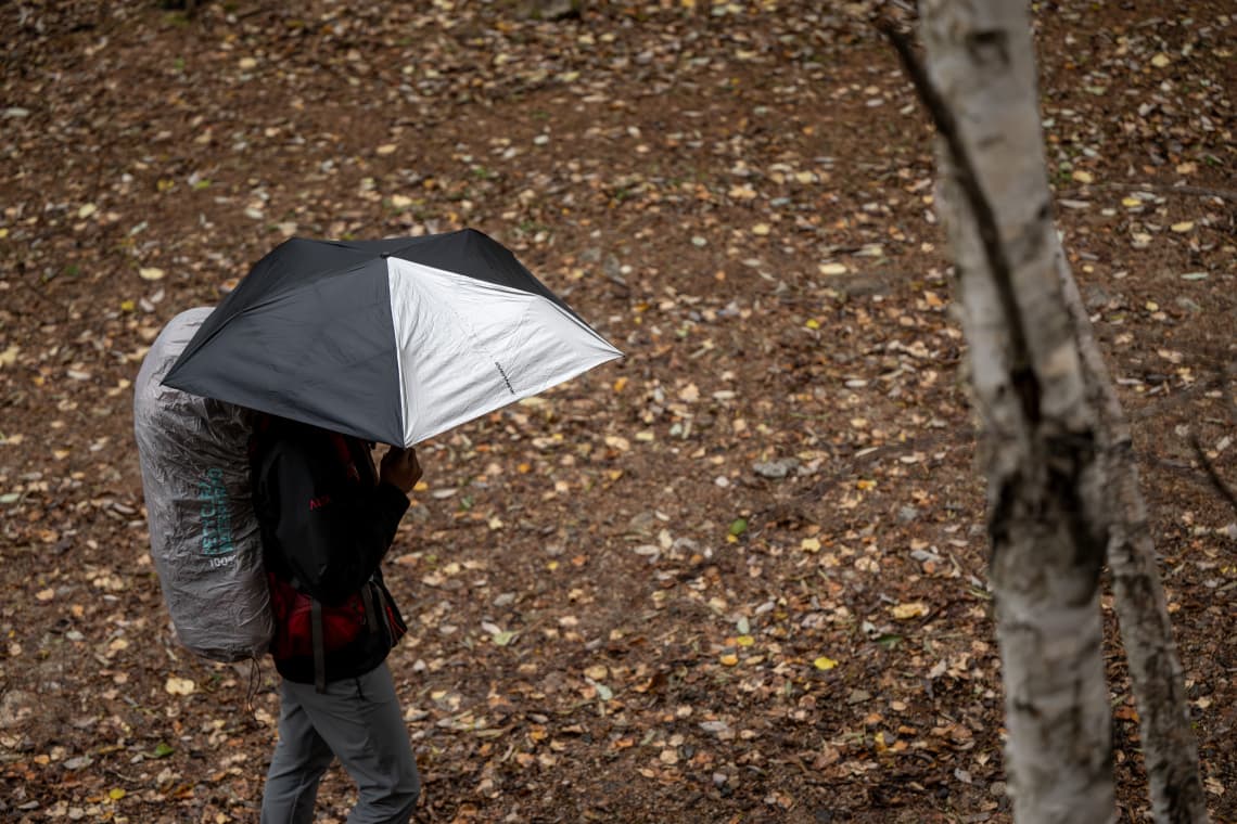 Umbrella